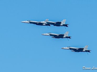 Greater Chesapeake Bay Schooner Race