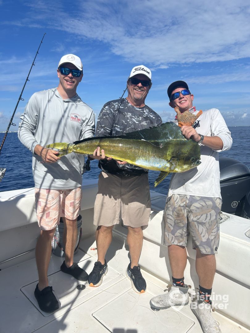 Lantana Report Photo 0