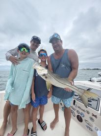 Sarasota County Report Photo 4