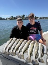 Sarasota County Report Photo 1