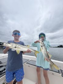 Sarasota County Report Photo 3