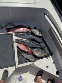 Panama City Report Photo 1