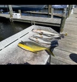 Hutchinson Island Report Photo 4