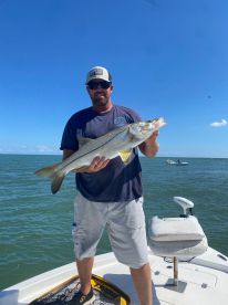 Snook Bite Is Hott