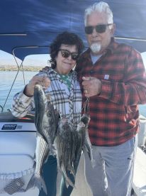 BOILS! BOILS! BOILS! 