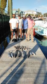 King Mackerels and Sea Bass