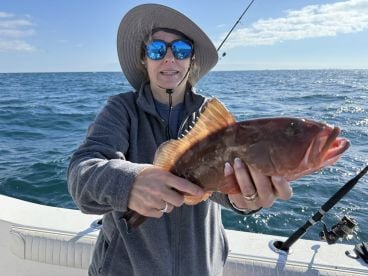 Indian Shores Report Photo 2