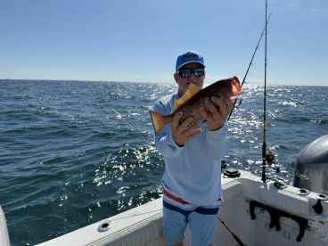 Indian Shores Report Photo 1