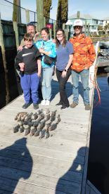 Good catch of sea bass..