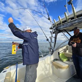 Kelleys Island Report Photo 2