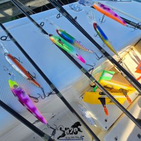 Kelleys Island Report Photo 4