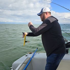 Kelleys Island Report Photo 3