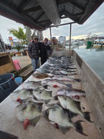 OnTheRun more great wreck fishing 