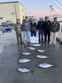 Fall tunas are starting to show up