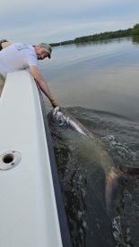 San Juan Report Photo 1