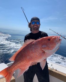 Massive Red Snapper