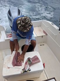 Next time, come with pills... and want t