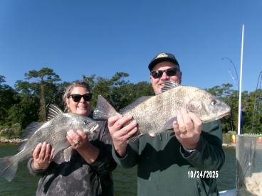 Black Drum biting