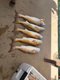 Forget about the center consoles.Come fi