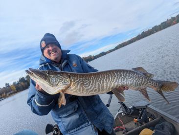Tiger Muskie in Boulder Junction, WI