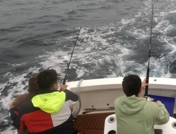 Sydney Harbour Report Photo 2