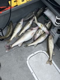 Vermillion to Lorain