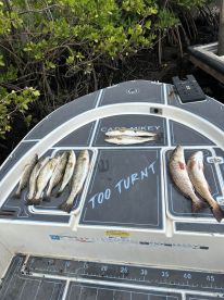 Inshore fishing is on fire!