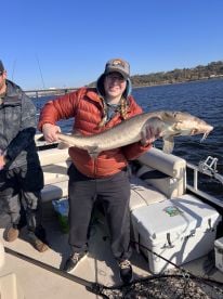 Twin Cities Report Photo 2