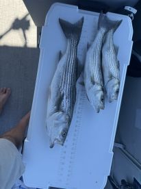 Lake Havasu City Report Photo 4