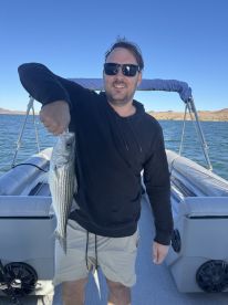 Lake Havasu City Report Photo 3