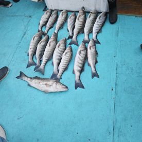 Sunday Rock party...