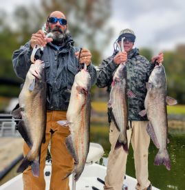 Another 200+ LB Catfish Smack Down 
