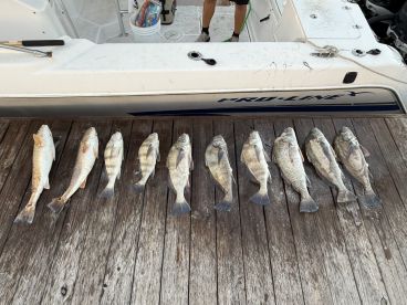 Corpus Christi Bay Report Photo 2