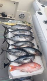 Biscayne Bay Report Photo 1