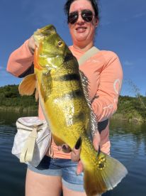 Peacock bass tour