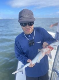 Hillsborough County Report Photo 4