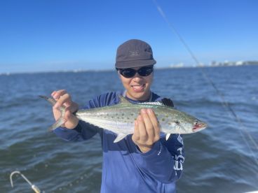 Hillsborough County Report Photo 2