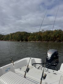 Henry County Report Photo 4