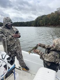 Henry County Report Photo 3