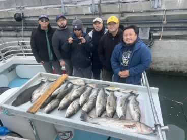 San Pablo Bay Report Photo 2