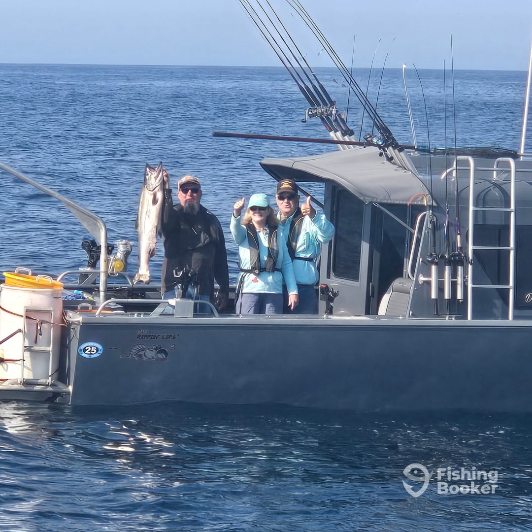 Lane County Report Photo 0