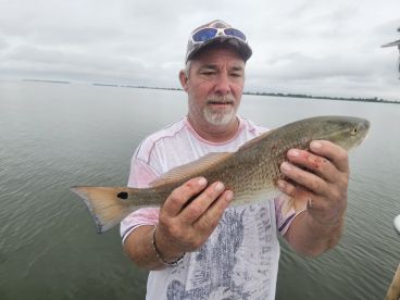 Strong Fall Redfish Bite!!!