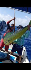 A big mahi mahi in the boat!