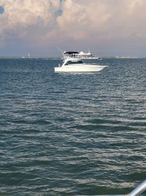 Galveston Report Photo 2