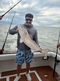 Galveston Report Photo 1