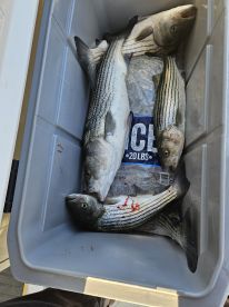 Fall Season is here !!