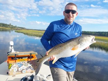 Big girls are chewin