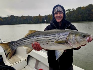 Grainger County Report Photo 3