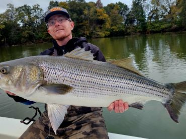 Grainger County Report Photo 1