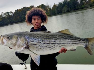 Grainger County Report Photo 2